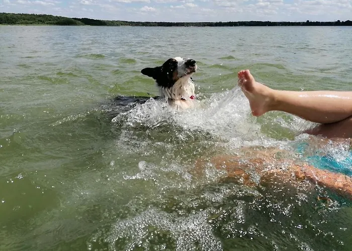 In With Wi-fi Holiday home Arendsee (Altmarkkreis Salzwedel)